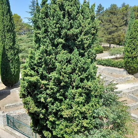 Apartamento Grande Terrasse Et Vue Sur Le Site Antique Vaison-la-Romaine Exterior foto